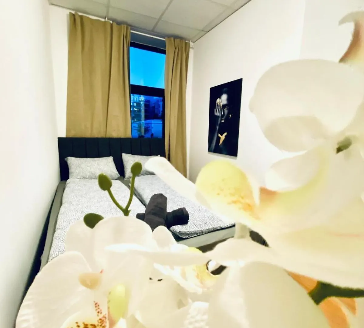 Sweet 3-Bedroom Shared Apartment In A Quiet Neighborhood Bécs